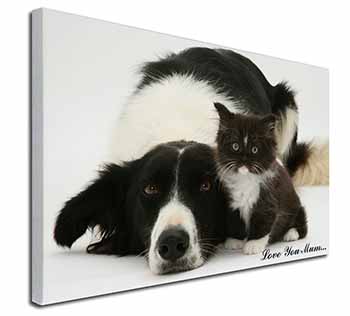 Border Collie+Kitten 