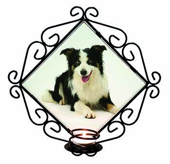 Tri-Colour Border Collie Dog Wrought Iron Wall Art Candle Holder