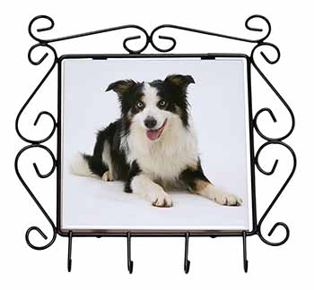 Tri-Colour Border Collie Dog Wrought Iron Key Holder Hooks