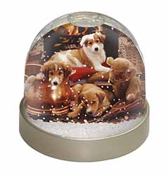 Border Collie Snow Globe Photo Waterball