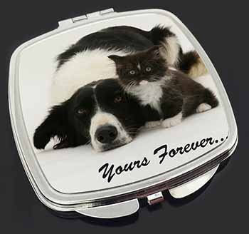 Border Collie and Kitten 