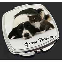 Border Collie and Kitten 