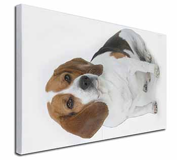 Beagle Dog Canvas X-Large 30"x20" Wall Art Print