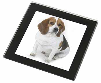 Beagle Dog Black Rim High Quality Glass Coaster