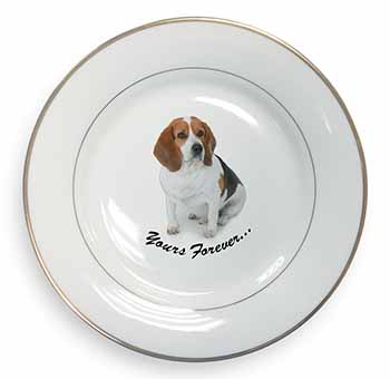 Beagle Dog "Yours Forever..." Gold Rim Plate Printed Full Colour in Gift Box