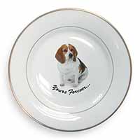 Beagle Dog "Yours Forever..." Gold Rim Plate Printed Full Colour in Gift Box