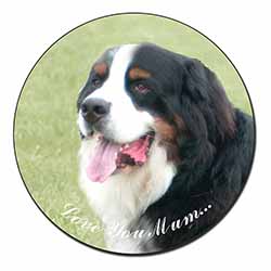 Bernese Mountain Dog 