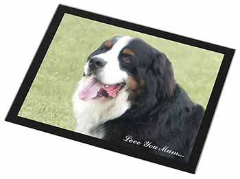 Bernese Mountain Dog 