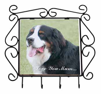 Bernese Mountain Dog 