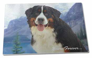 Large Glass Cutting Chopping Board Bernese Mountain Dog