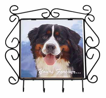 Bernese Mountain Dog Wrought Iron Key Holder Hooks