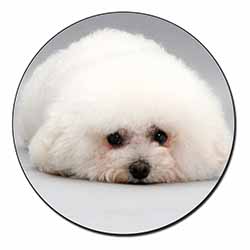 Bichon Frise Dog Fridge Magnet Printed Full Colour