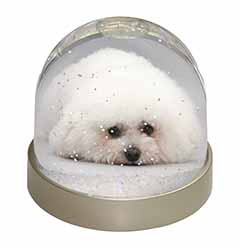 Bichon Frise Dog Snow Globe Photo Waterball