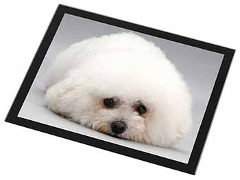 Bichon Frise Dog Black Rim High Quality Glass Placemat