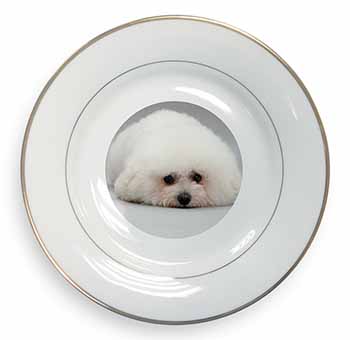 Bichon Frise Dog Gold Rim Plate Printed Full Colour in Gift Box