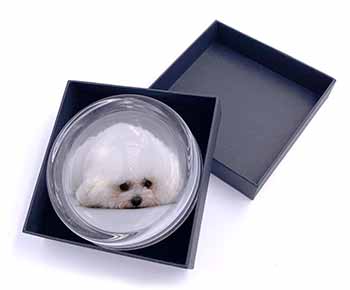 Bichon Frise Dog Glass Paperweight in Gift Box