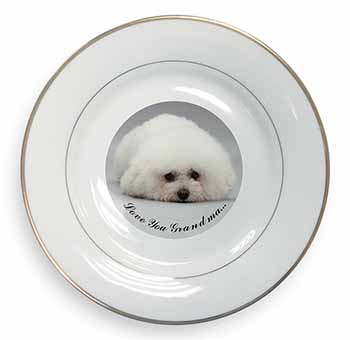 Bichon Frise 