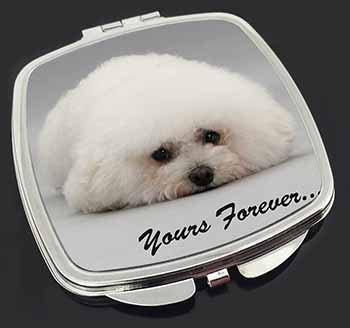 Bichon Frise Dog 