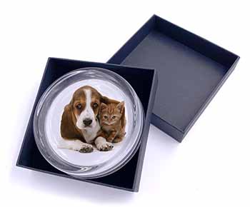 Basset Hound Dog and Cat Glass Paperweight in Gift Box