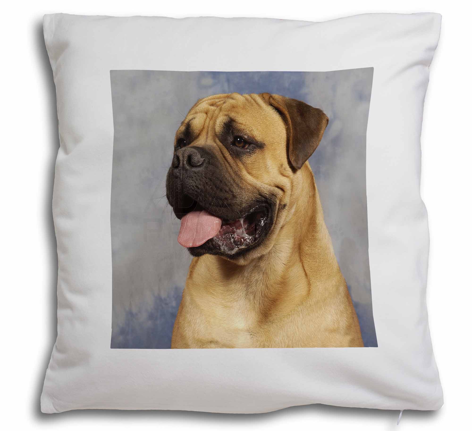 bullmastiff pillow