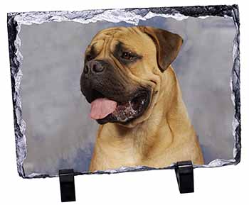 Bullmastiff Dog, Stunning Photo Slate