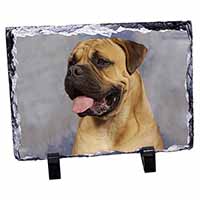 Bullmastiff Dog, Stunning Photo Slate