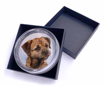 Border Terrier Glass Paperweight in Gift Box