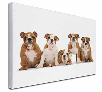 Bulldog Puppy Dogs Canvas X-Large 30"x20" Wall Art Print