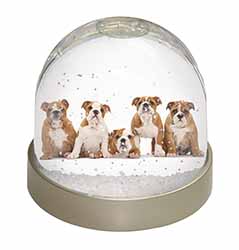 Bulldog Puppy Dogs Snow Globe Photo Waterball