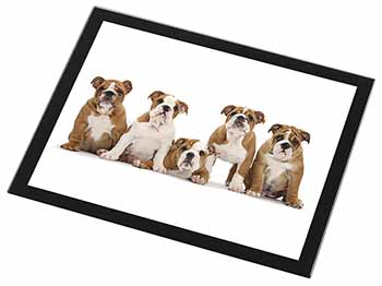 Bulldog Puppy Dogs Black Rim High Quality Glass Placemat