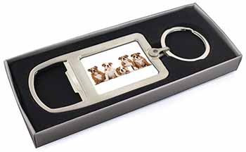 Bulldog Puppy Dogs Chrome Metal Bottle Opener Keyring in Box