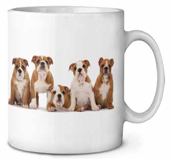 Bulldog Puppy Dogs Ceramic Coffee Mug/Tea Cup