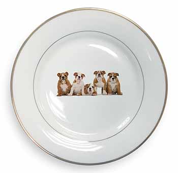 Bulldog Puppy Dogs Gold Rim Plate Printed Full Colour in Gift Box