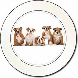 Bulldog Puppy Dogs Car or Van Permit Holder/Tax Disc Holder