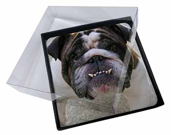 4x Bulldog Picture Table Coasters Set in Gift Box