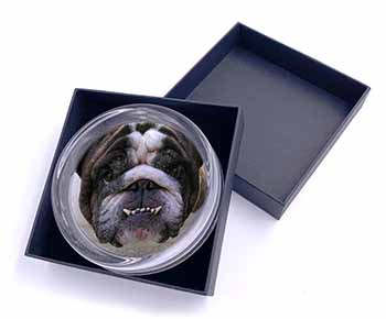 Bulldog Glass Paperweight in Gift Box