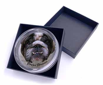 Bulldog "Yours Forever..." Glass Paperweight in Gift Box