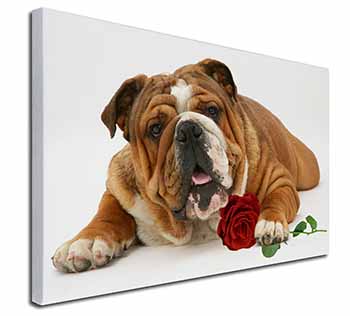 Red Bulldog with Red Rose Canvas X-Large 30"x20" Wall Art Print