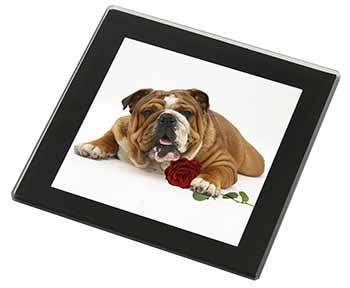 Red Bulldog with Red Rose Black Rim High Quality Glass Coaster