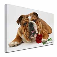 Bulldog+Rose 