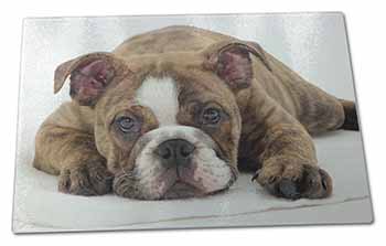 Large Glass Cutting Chopping Board Bulldog