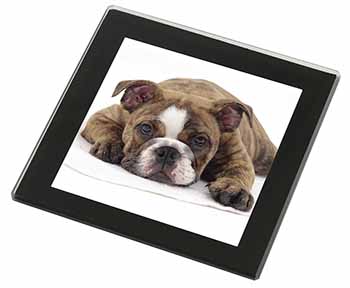 Bulldog Black Rim High Quality Glass Coaster