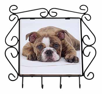 Bulldog Wrought Iron Key Holder Hooks