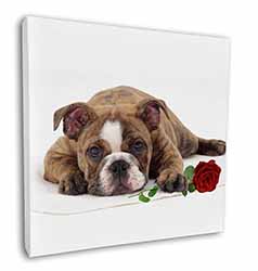 Bulldog with Red Rose Square Canvas 12"x12" Wall Art Picture Print