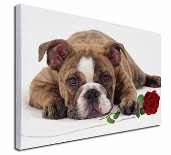 Bulldog with Red Rose Canvas X-Large 30"x20" Wall Art Print