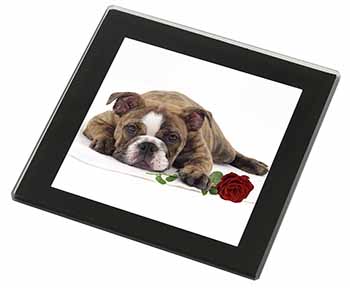 Bulldog with Red Rose Black Rim High Quality Glass Coaster