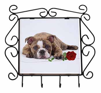 Bulldog with Red Rose Wrought Iron Key Holder Hooks