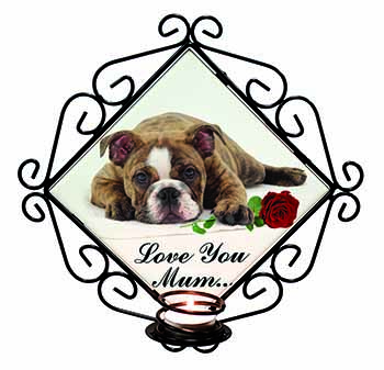 Bulldog+Rose 