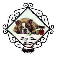 Bulldog+Rose 