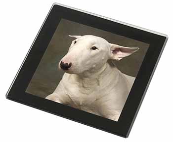 Bull Terrier Dog Black Rim High Quality Glass Coaster